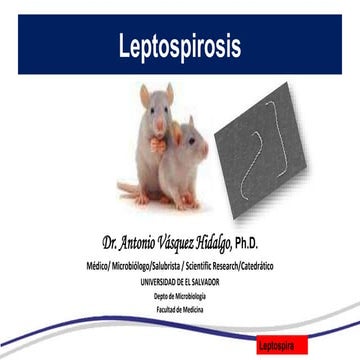 Leptospirosis2019
