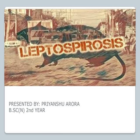 Class Presentation on LEPTOSPIROSIS  ppt.pptx