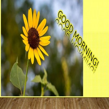 Lerma- MIE report final presentation.pptx