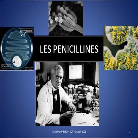 Les Penicillines