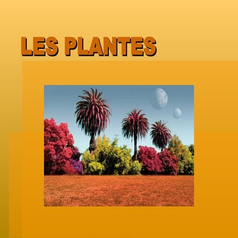 Les Plantes
