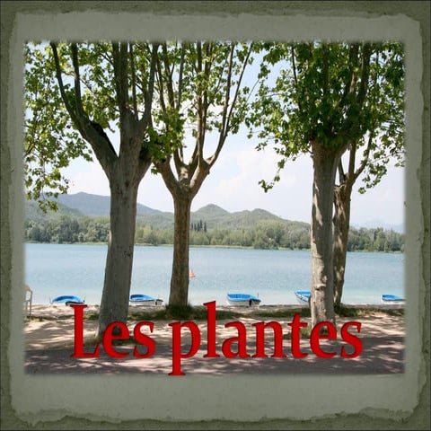 Les Plantes