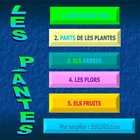 LES PLANTES