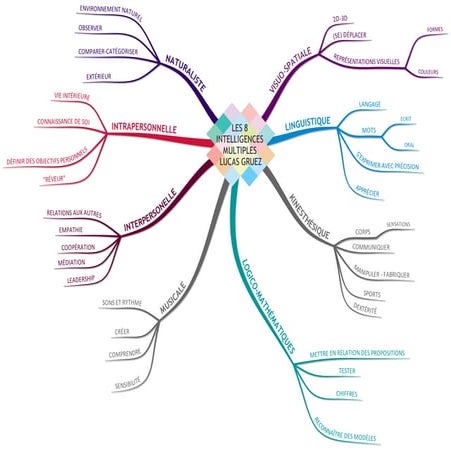 Les 8 intelligences Multiples, Synthèse en carte mentale