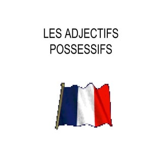 Les adjectifs possessifs
