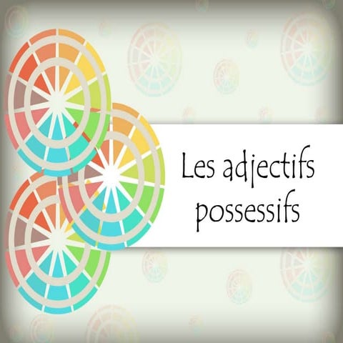 Les Adjectifs Possessifs