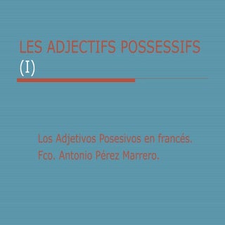 Les adjectifs possessifs (i y ii)