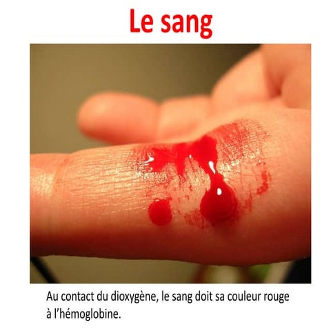 Le sang.pptx