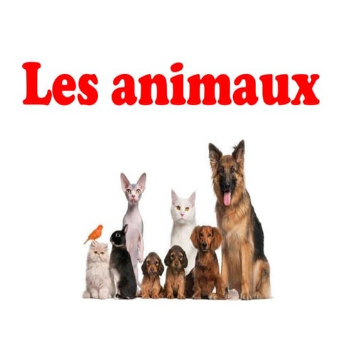 Les animaux