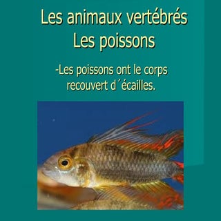Les animaux vertébrés. ana gil 5ºb