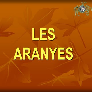 Les aranyes 