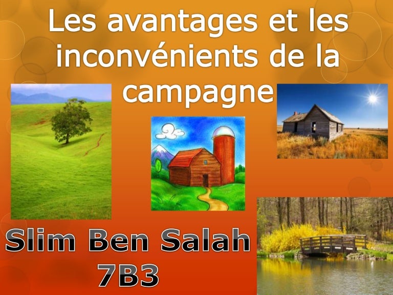 Les avantages et les inconvénients de la campagne Les avantages et les inconvénients de la campagne
