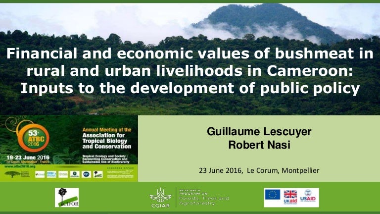thumbnail of  Financial and economic values of bushmeat in rural and urban livelihoods in Cameroon: Inputs to the development of public policy