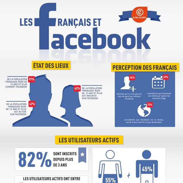 infographie : les Français et Facebook