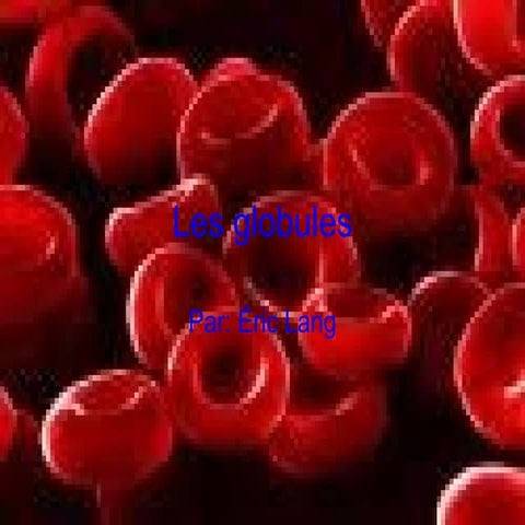 Les globules | PPT