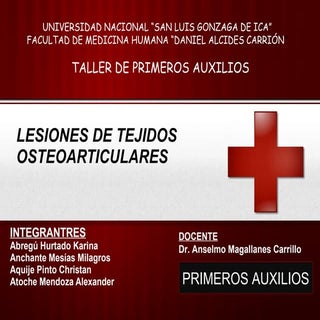 Lesiones Osteoarticulares