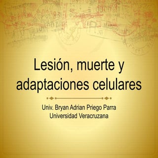 Lesión celular: Hipertrofia, Hiperp...