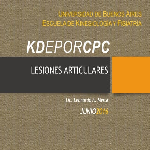 Lesiones Articulares 