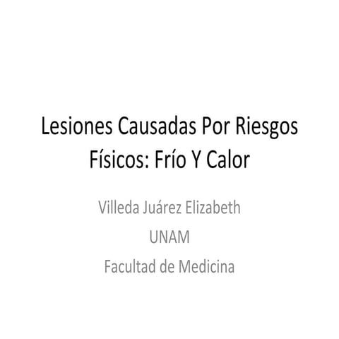 Lesiones causadas por riesgos físicos