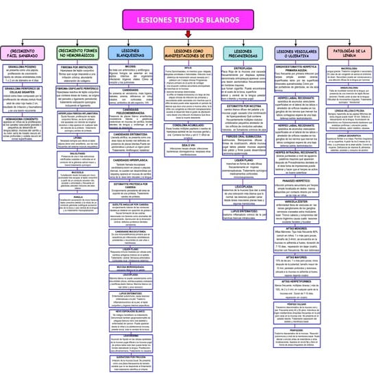 LESIONES DE TEJIDOS BLANDOS.pdf