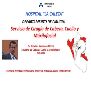 LESIONES ELEMENTALES DE LA MUCOSA ORAL