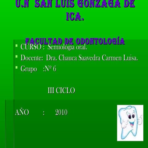 Lesiones elementales en la cavidad bucal