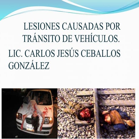 LESIONES POR HECHOS DE TRANSITO TERRESTRE.pptx