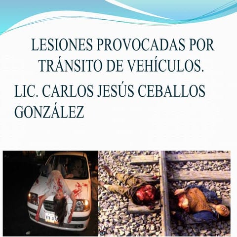 LESIONES POR  HECHOS DE TRANSITO TERRESTRE
