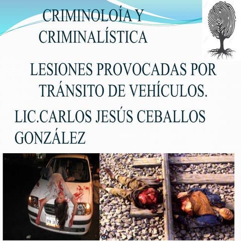 Lesiones por transito terrestre ceballos