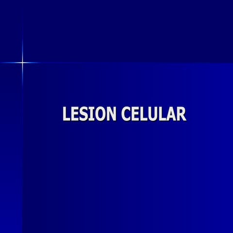 LESIONES REVERSIBLES E IRREVERSIBLES