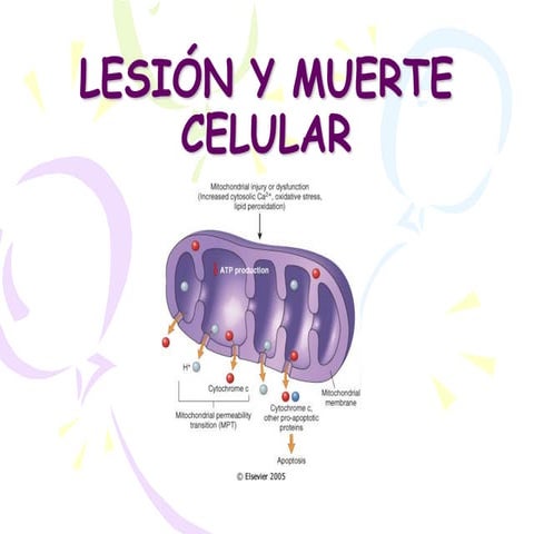 Lesion y muerte celular