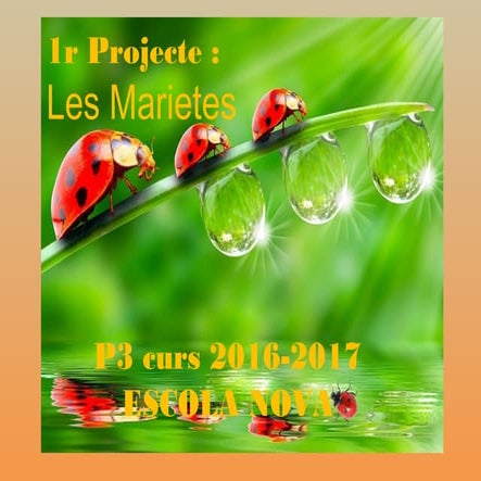 Projecte Marietes P3
