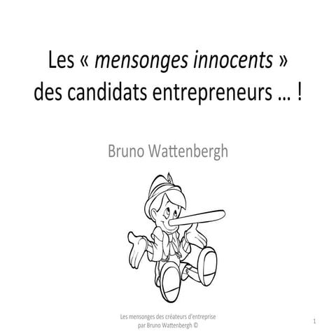 Les mensonges de l'entrepreneur débutant par Bruno Wattenbergh