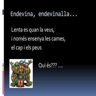 Les nostres amigues tortugues