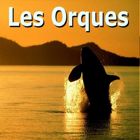 Les Orques