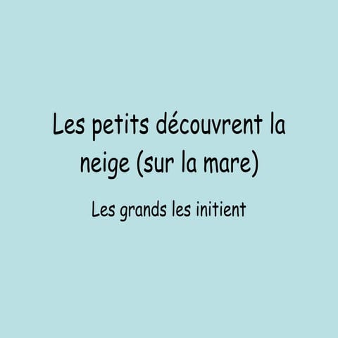 les petits chats découvrent la neige