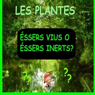 Les plantes
