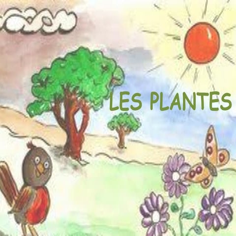 LES PLANTES