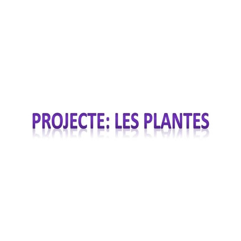 Les plantes