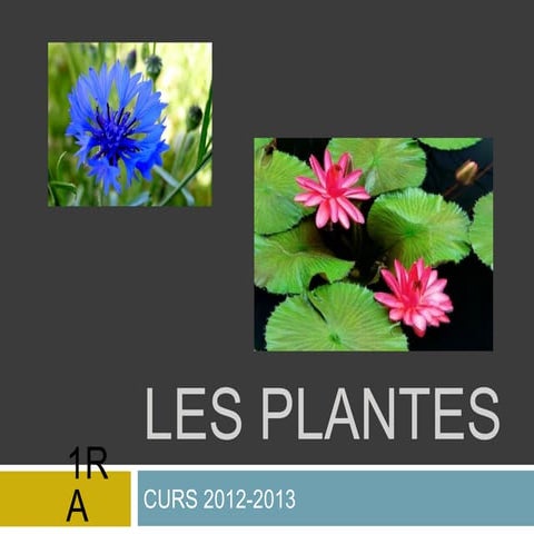 Les plantes 1 a