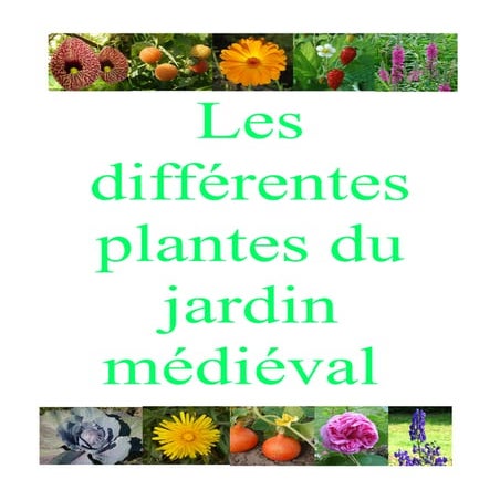 Les plantes du jardin médiéval de bazoges en pareds