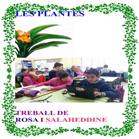 Les plantes per Rosa i Salaheddine