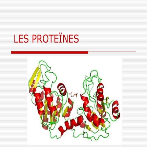 Les proteïnes