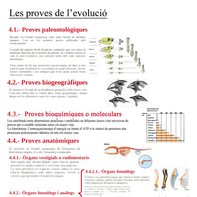 Les proves de l'evolució