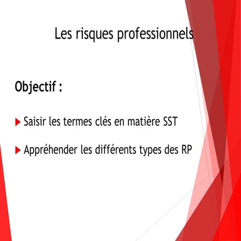 Les risques professionnels .pdf