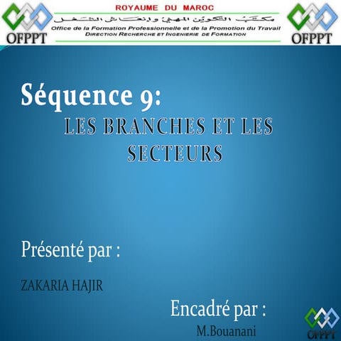 Les secteurs et les branches