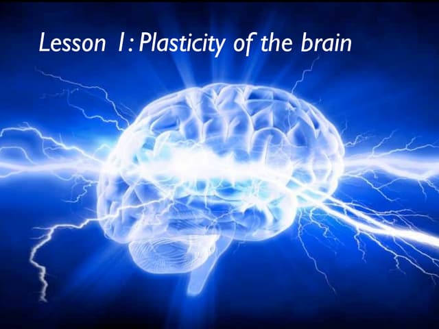 The Benefits Of Brain Plasticity Are Most Clearly Demonstrated In Lesson 1 plasticity | PPT