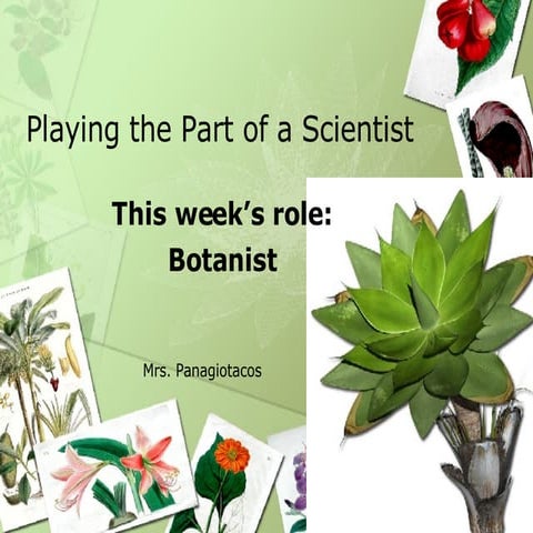Plants 3rd grade | PPTX