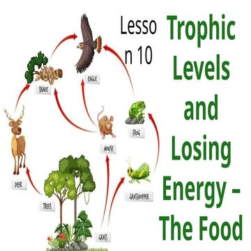 Lesson-10-Trophic-Levels-and-Losing-Energy-The-Food-Web (1).pptx