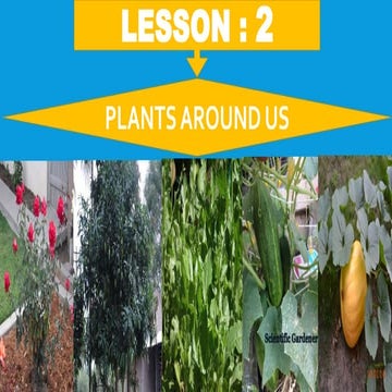 Lesson  2  Plants around us